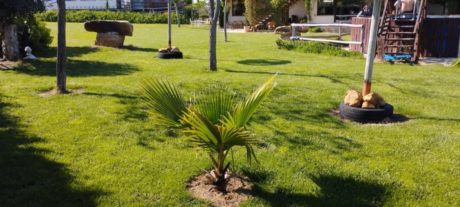 Finca Los Pajaros Cerca De Puy Du Fou Toledo Navahermosa  Zewnętrze zdjęcie